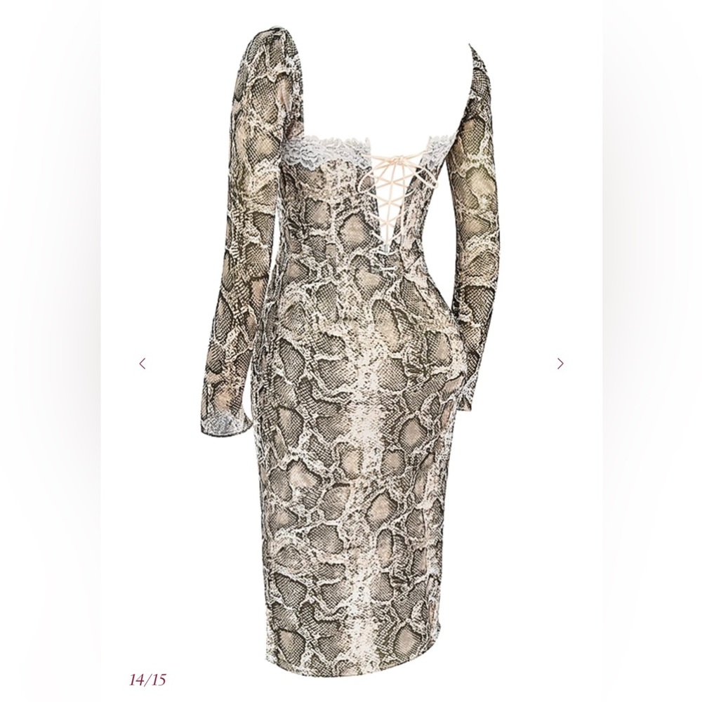 SERAPHINA
Snake Print Corset Dress - Picture 9 of 10